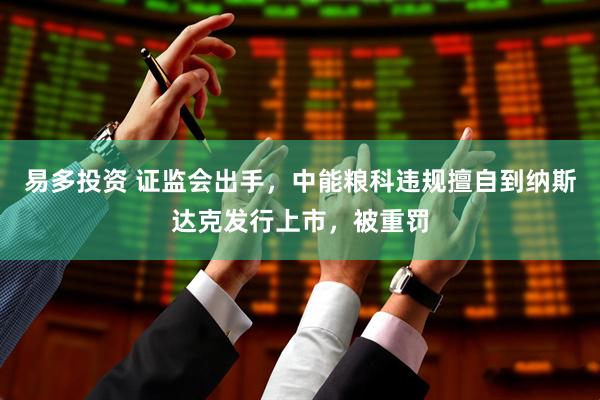 易多投资 证监会出手，中能粮科违规擅自到纳斯达克发行上市，被重罚