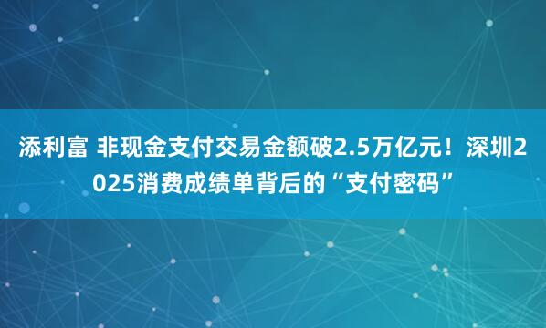 添利富 非现金支付交易金额破2.5万亿元！深圳2025消费成绩单背后的“支付密码”